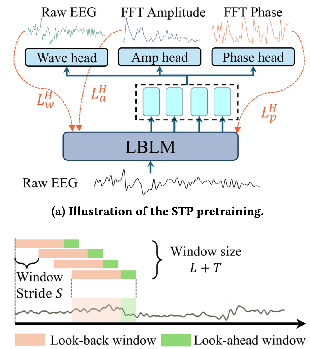 Experiment Protocol
